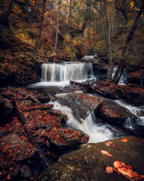 Cayuga Falls, Ricketts Glen State Park, PA [1536x1920] [OC]