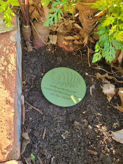 Solving My Pill Bug Problem Through Aggressive Hospitality