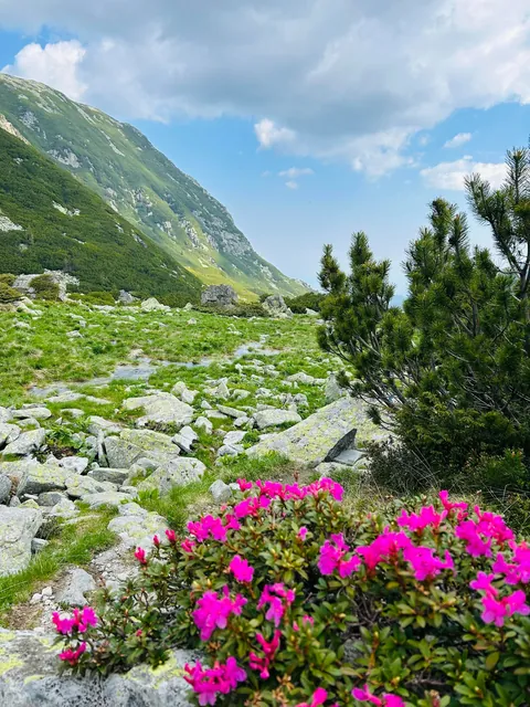 Romania, Retezat mountains