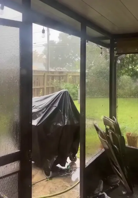 🔥A hawk braved the pouring rain in Tampa Bay on Friday as Hurricane Isaias approached landfall along Florida’s Gulf Coast