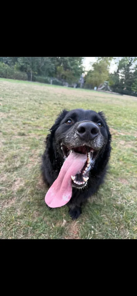 My son Zuko and his long ass tongue