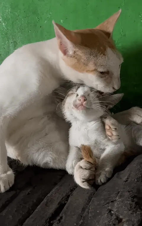 People asked for more photos of garage employees!