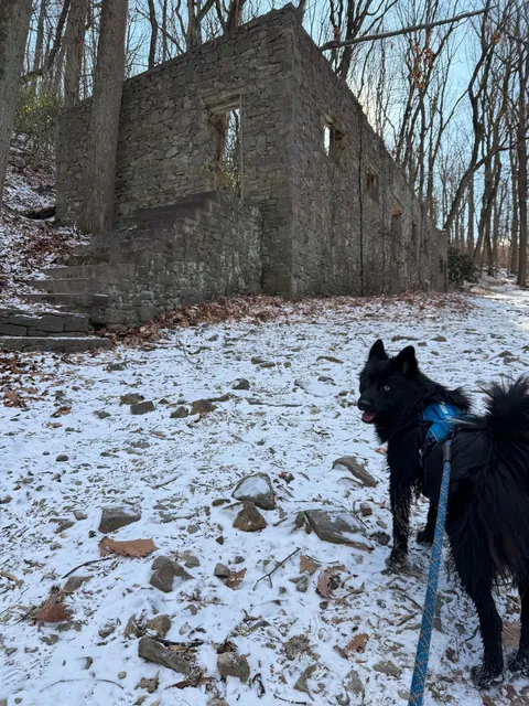 How it started -> How it’s going! Blessed to have found my best friend and adventure partner in a crowded rescue.