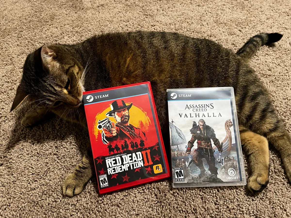 Anybody else print game covers to make fake physical copies for the shelf?