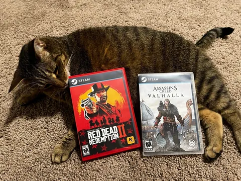 Anybody else print game covers to make fake physical copies for the shelf?