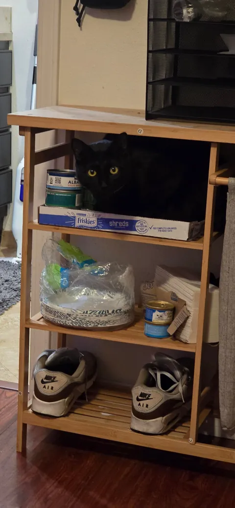 Its Friday the 13th!! Show me your Voids!!!