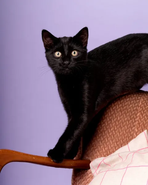 Look who's got a nice photoshoot