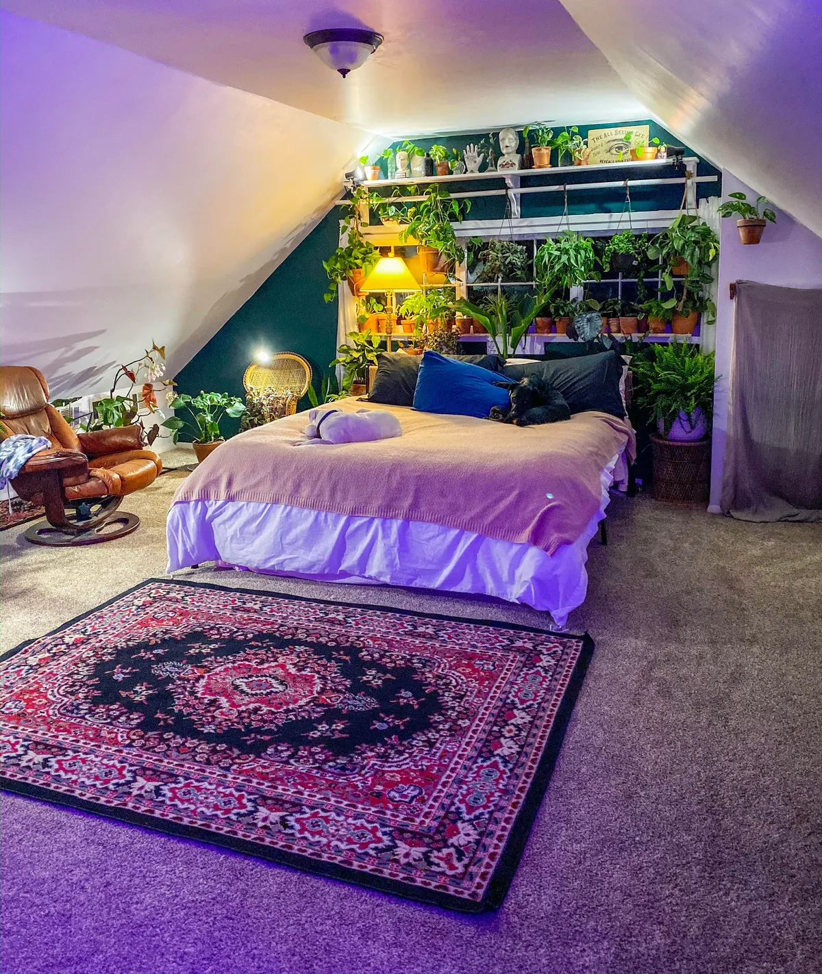 New to this whole reddit thing, here’s my cozy room