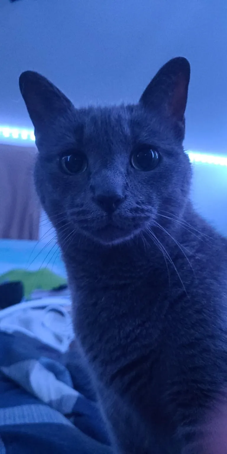 This is what my gf sees every time she wakes up. How am I supposed to compete with this?