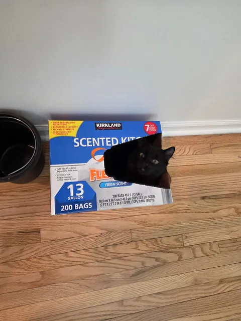 Wanted to show off my son