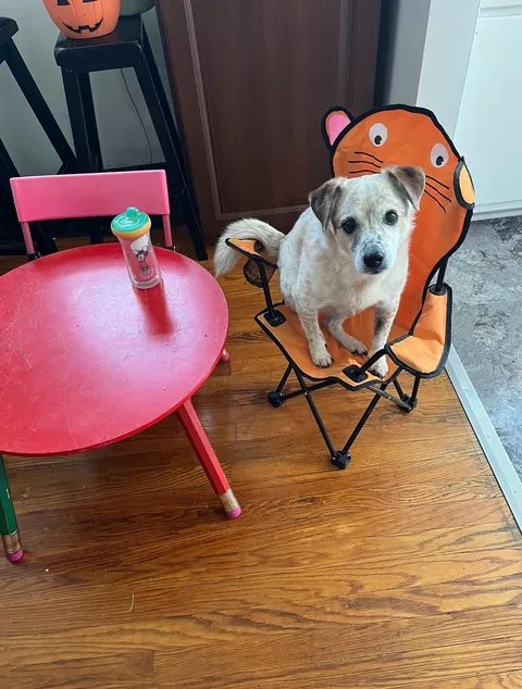 More pictures of Chief being unapologetically himself