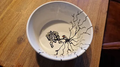 Guys my 16yo sister made me the best birthday gift ever! 