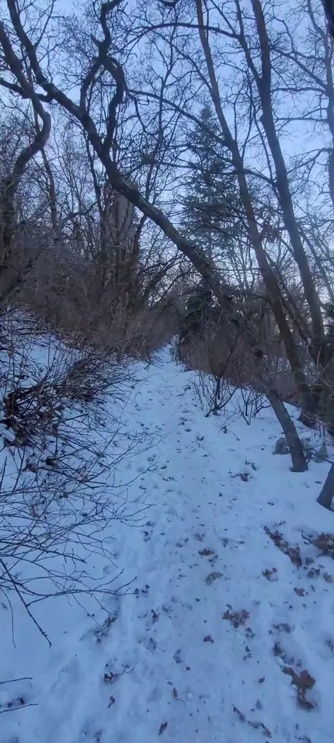 They love doing this 😊💙❄️