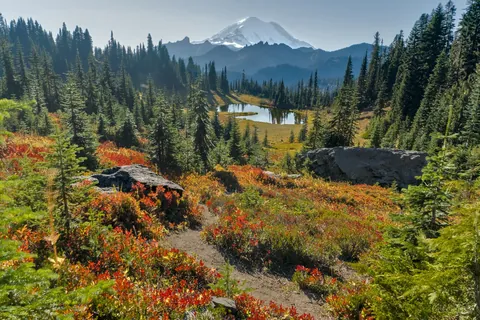 Early fall color at Little Tipsoo Lake, Mount Rainier National Park, Washington, USA [OC] [1620x1080]