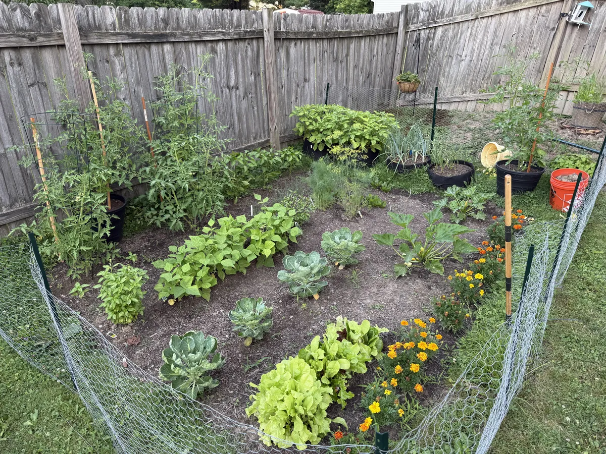 First year ever having a garden! :)