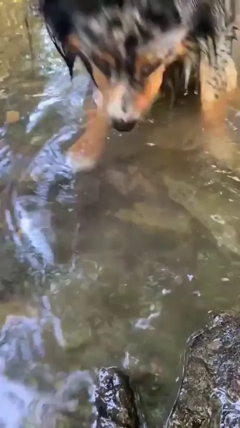 Look mom! I am a fish