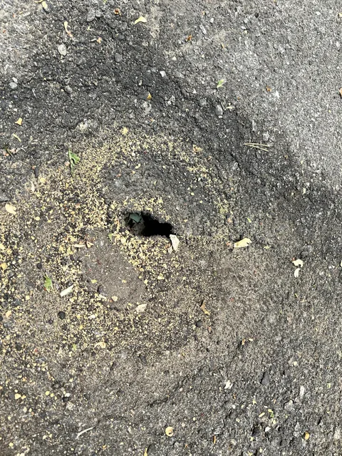 Hole appeared in driveway. Is this DIYable?