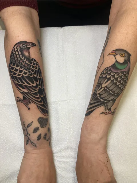 My pigeon has a new crow friend