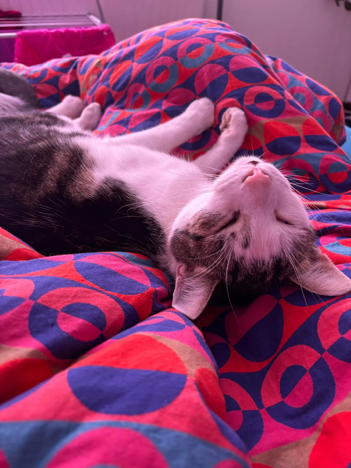 My beautiful baby died today