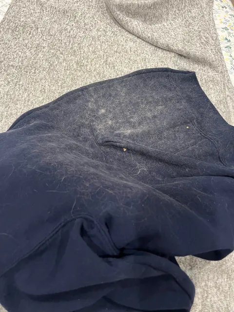 Left my sweater on my bed before going on vacation for two weeks. My poor little kitty has been patiently waiting there all these days