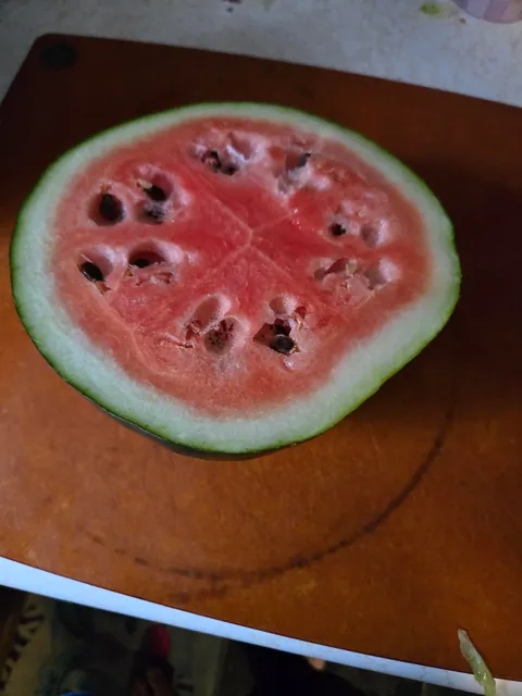 Puke planted watermelon finally ripened.