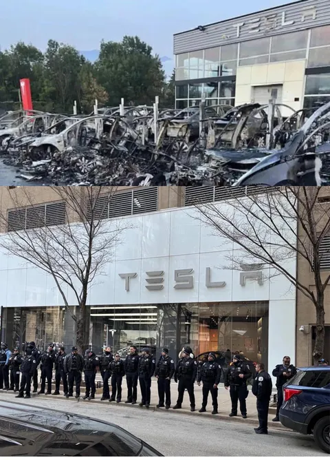 France VS USA on Tesla.
