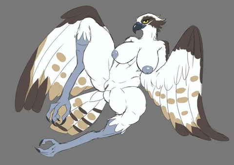 Osprey Cutie (sanfingulipunrapin) [F]