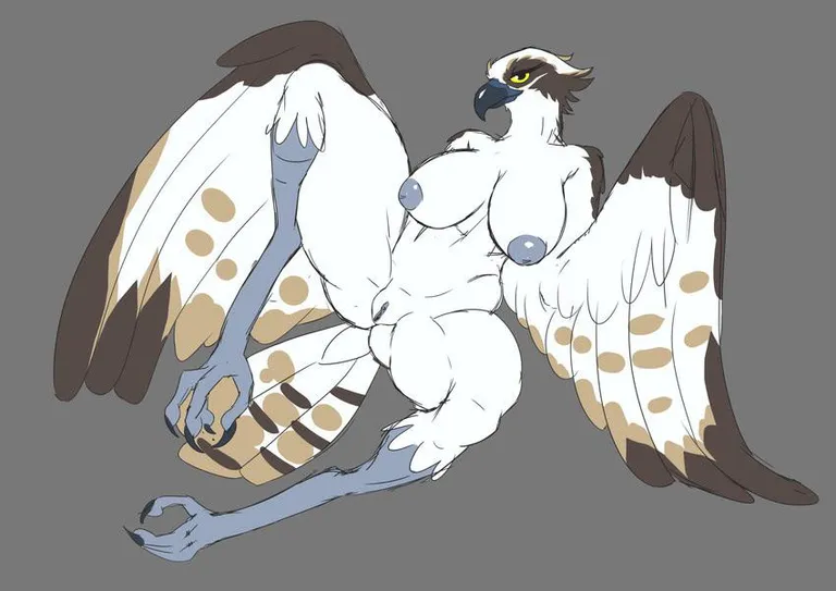 Osprey Cutie (sanfingulipunrapin) [F]