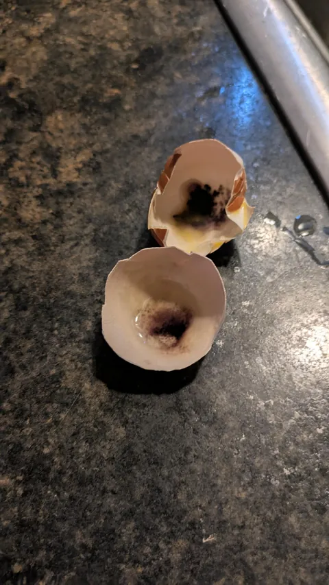 Got some eggs from the farmers market and they were black on the inside