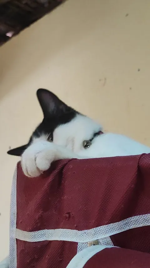 He loves to pose hahaha