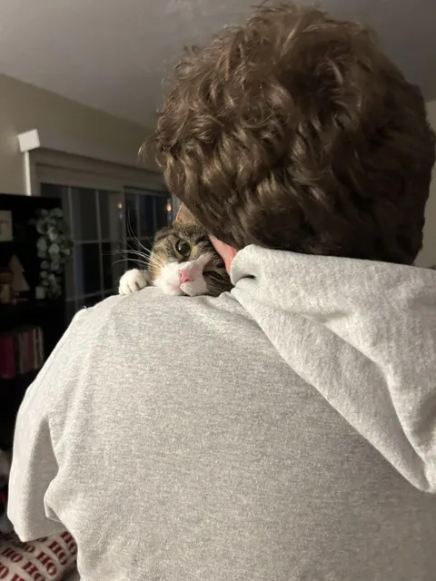 My girlfriends cat used to be scared of me, now when I come home and pick him up he does this