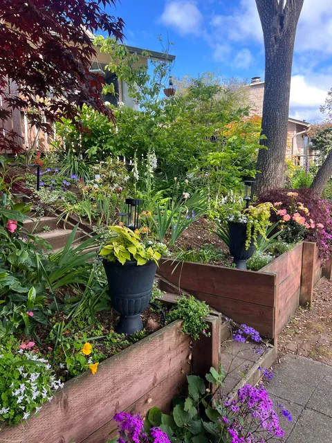 If you love your garden, it’ll love you back (Pt 2)