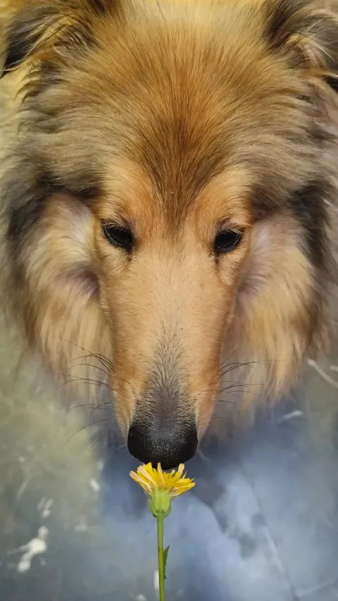Sometimes in life you have to stop and smell the flowers!