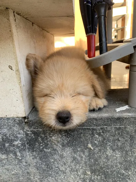 Help me to name this beauty