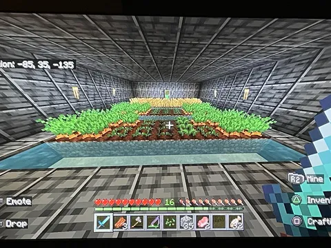 Why won’t my crops grow in the middle?