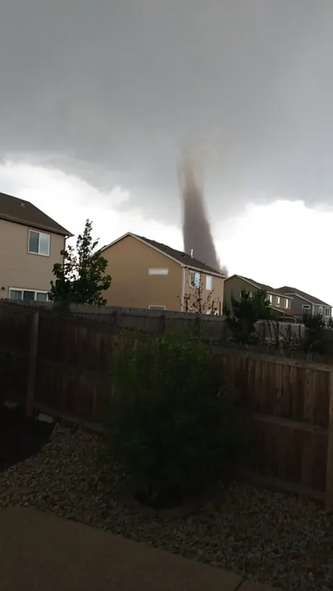 Spent 5 hours getting chemotherapy this morning, came home feeling like crap. Laid down to nap..alarms and sirens start blasting. Rush 5 cats to the basement and prep shelter. Go outside to see this in my subdivision.