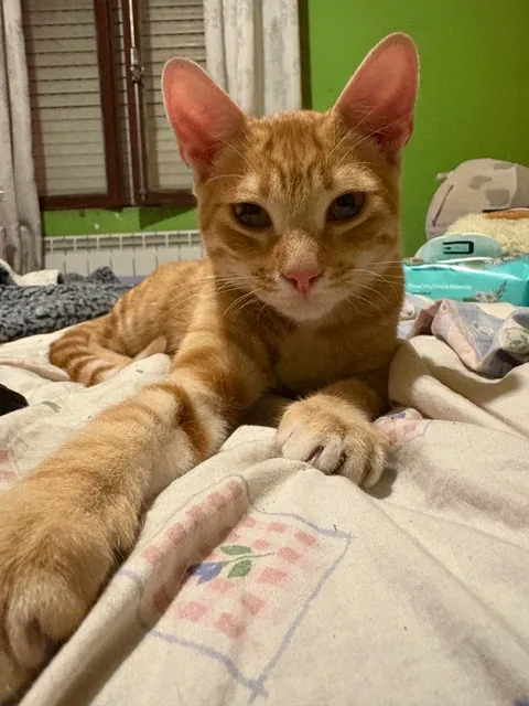 When I found him/ now &lt;3