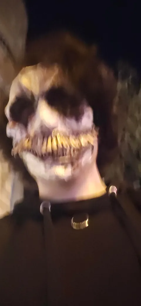 Halloween mask I did with Paper mache