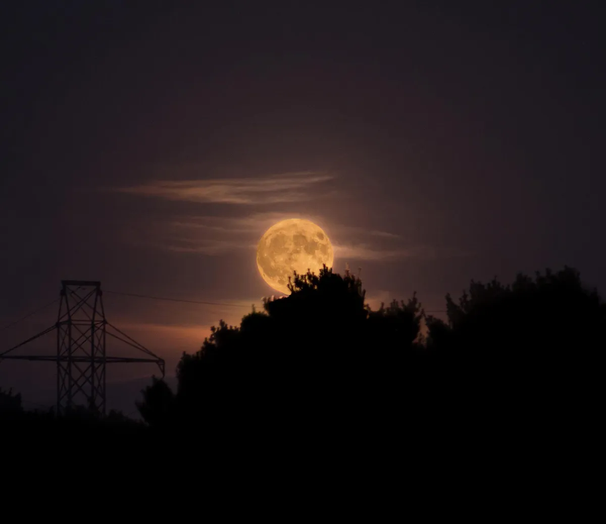 Harvest Moon | Friday The 13th