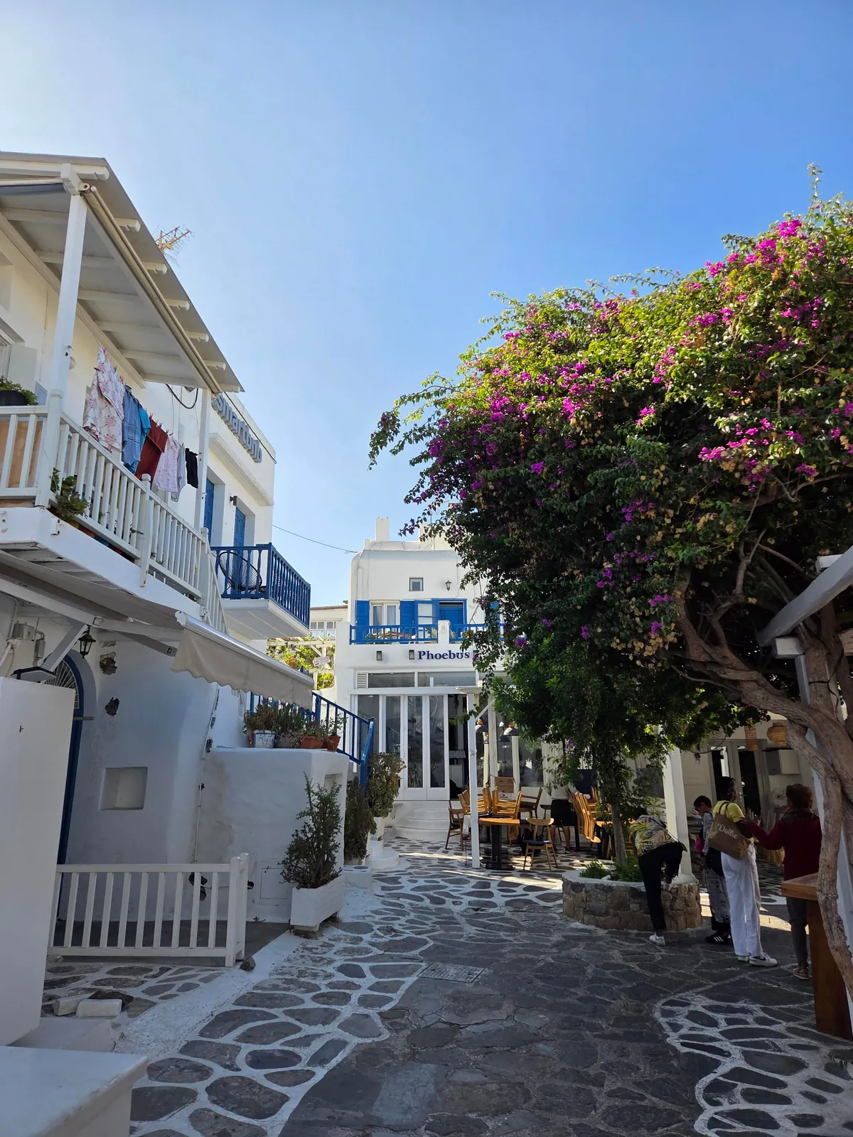 Greece somehow surpassed the huge hype, now one of my fav countries. Pics from Athens, Mykonos and Santorini.