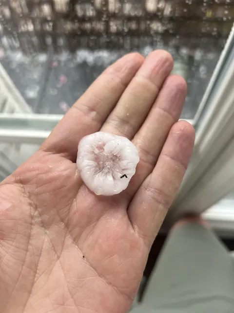 Just hailed in Paris.  This one kind of looks like an asshole