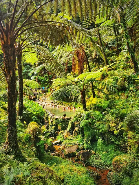 10 days on the Azores