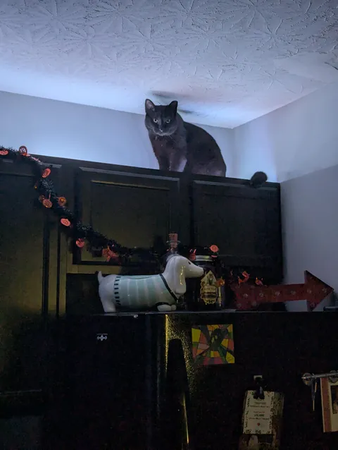 How do I stop him from doing this?