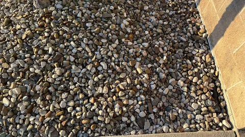 My turn for the weekly “lost my ear bud” post