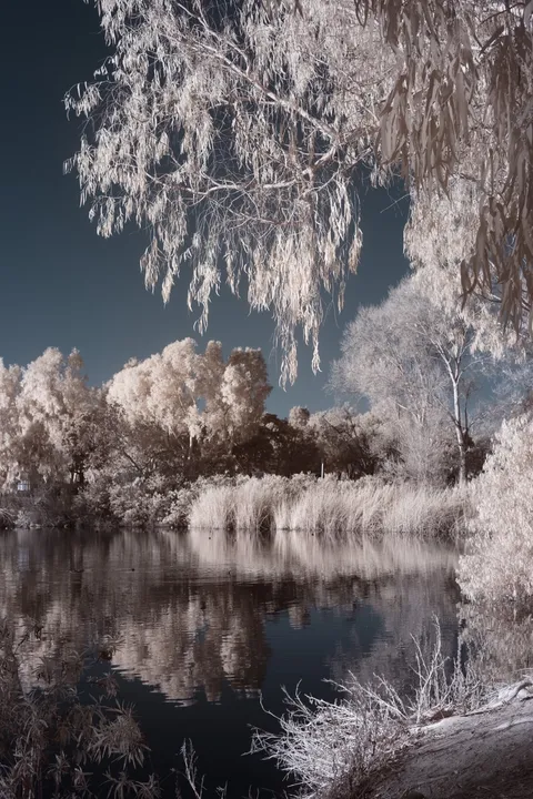 Infrared Pond