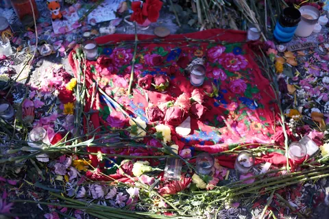 [OC] Alex Pretti memorial 1/28