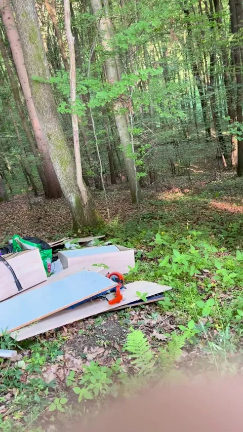 Someone threw away their sh*t in the forest where i walk frequenly.