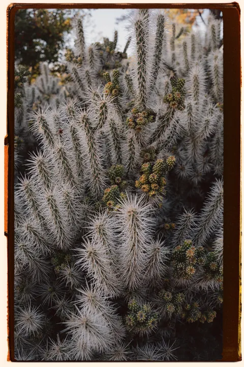 Fall in the high desert of Colorado, USA