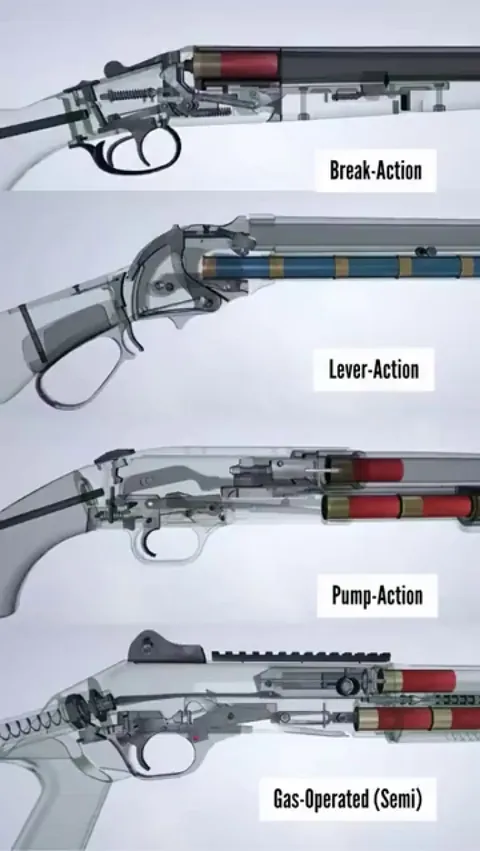 How 4 different shotgun actions function internally