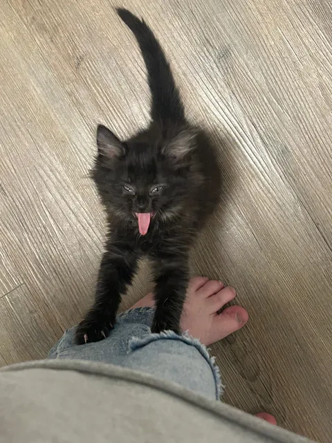 Before and After: Happy First Birthday Maevis!